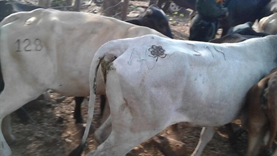 Imagen de referencia. Foto: Colprensa