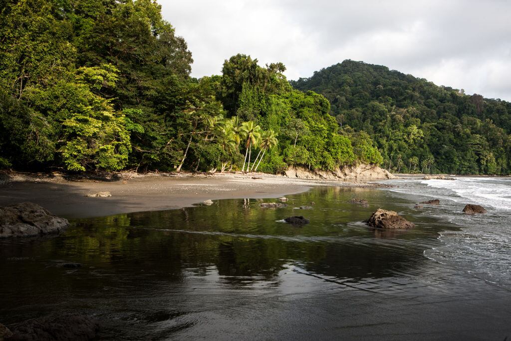 Chocó. (Photo by Ronald Patrick/Getty Images)