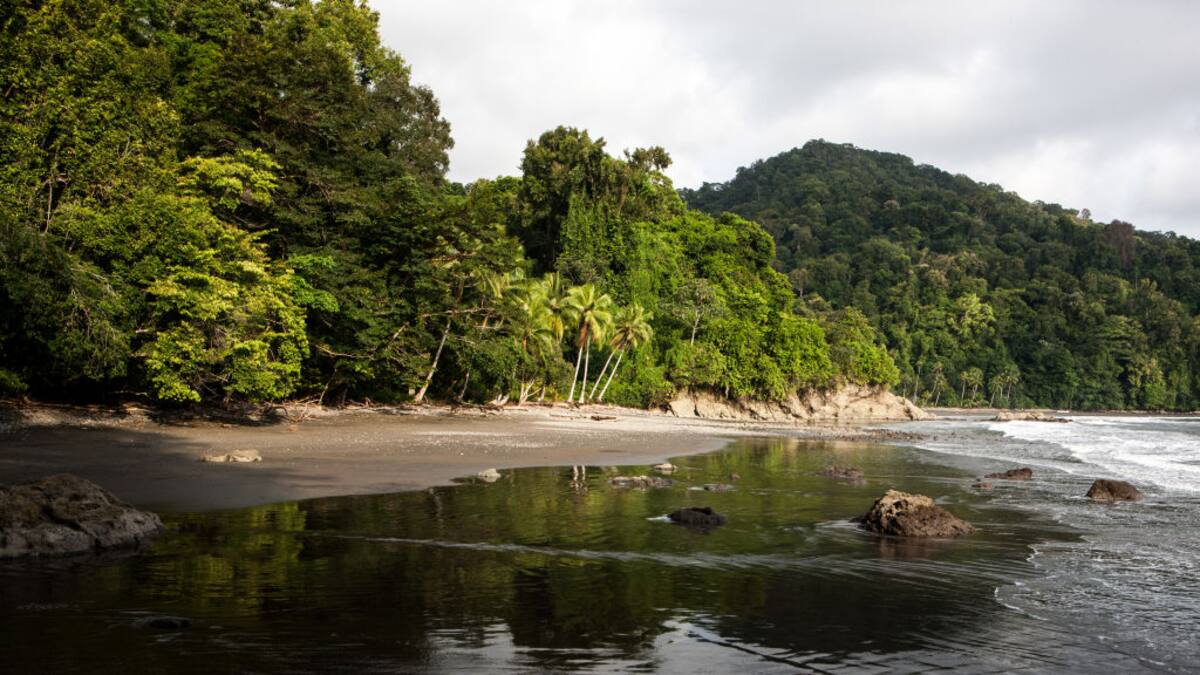 Crisis en turismo del Chocó, a pesar de temporada de ballenas