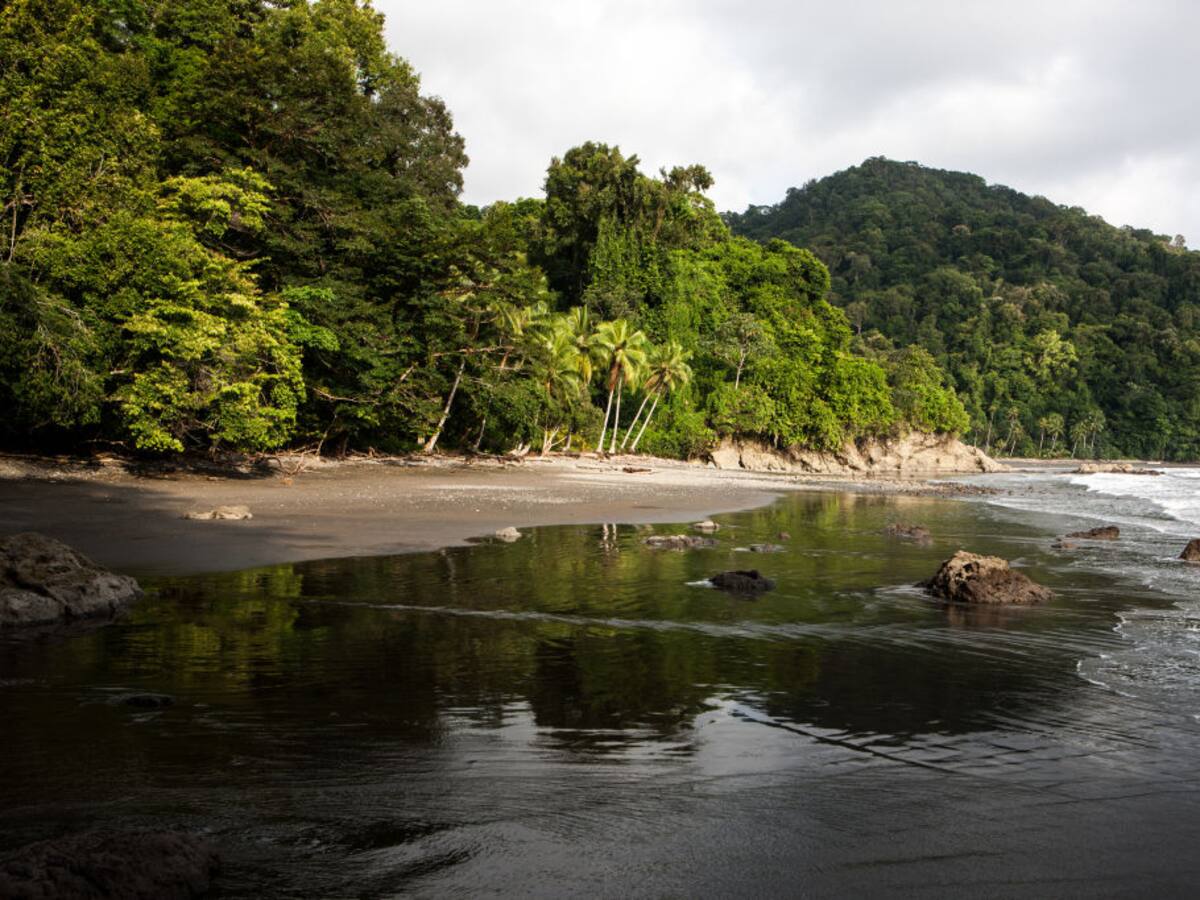 Crisis en turismo del Chocó, a pesar de temporada de ballenas