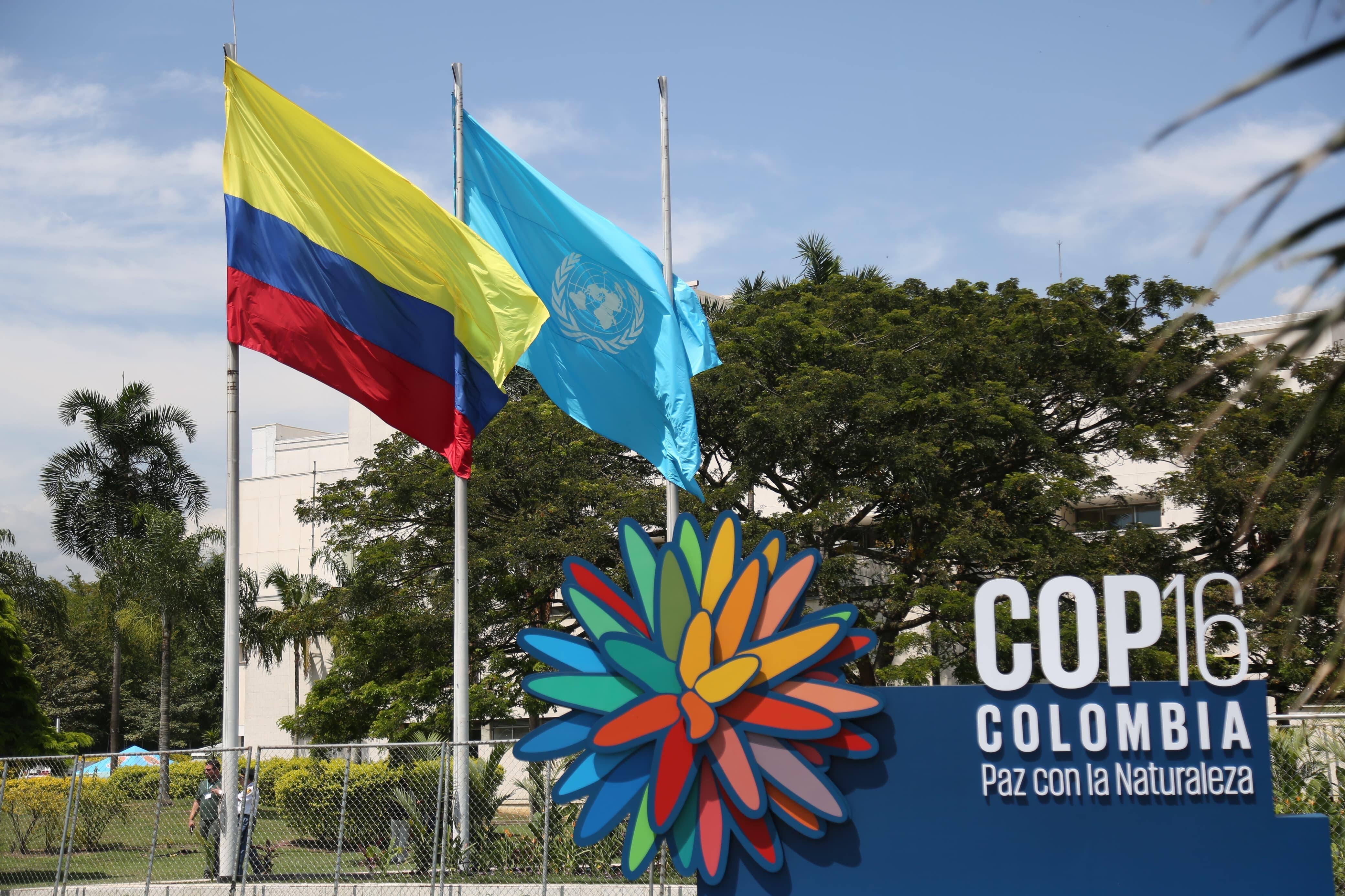 Colombia entrega oficialmente Zona Azul a la ONU para la COP16. Foto: Alcaldía de Cali
