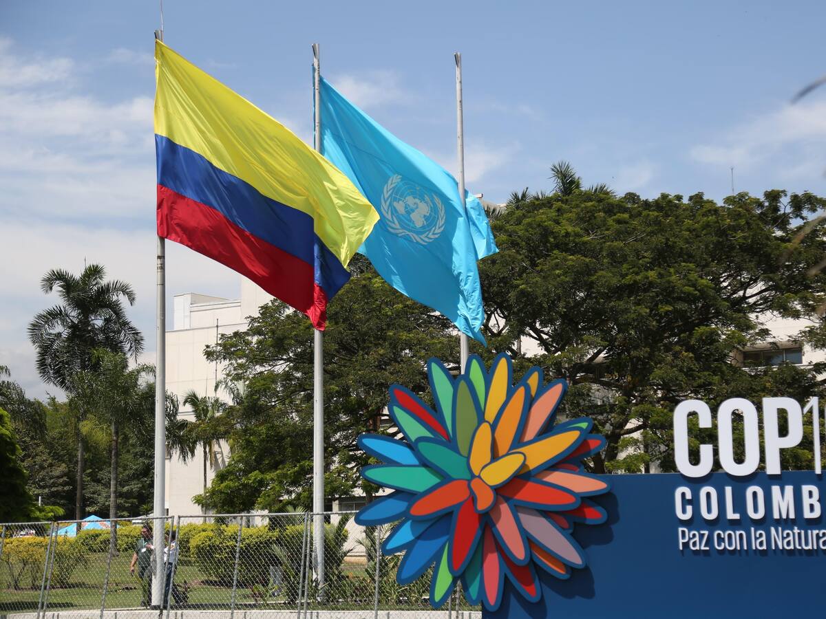 Colombia entrega oficialmente Zona Azul a la ONU para la COP16
