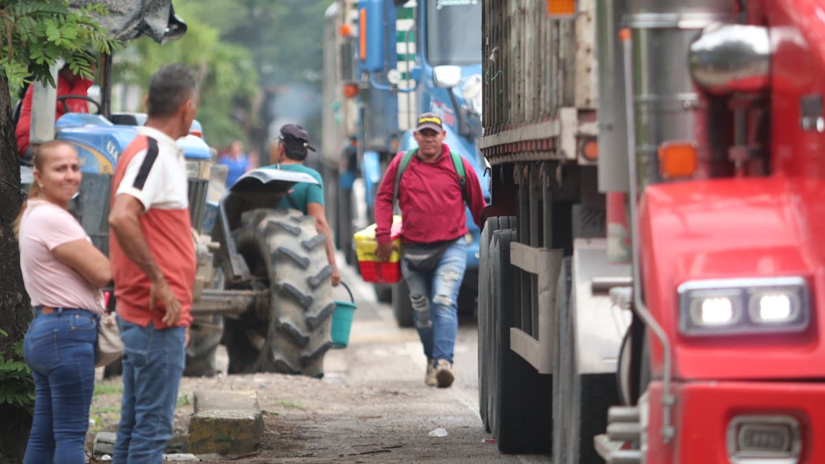 Fedetranscarga asegura que camioneros pierden a diario $1.750 millones por el paro arrocero