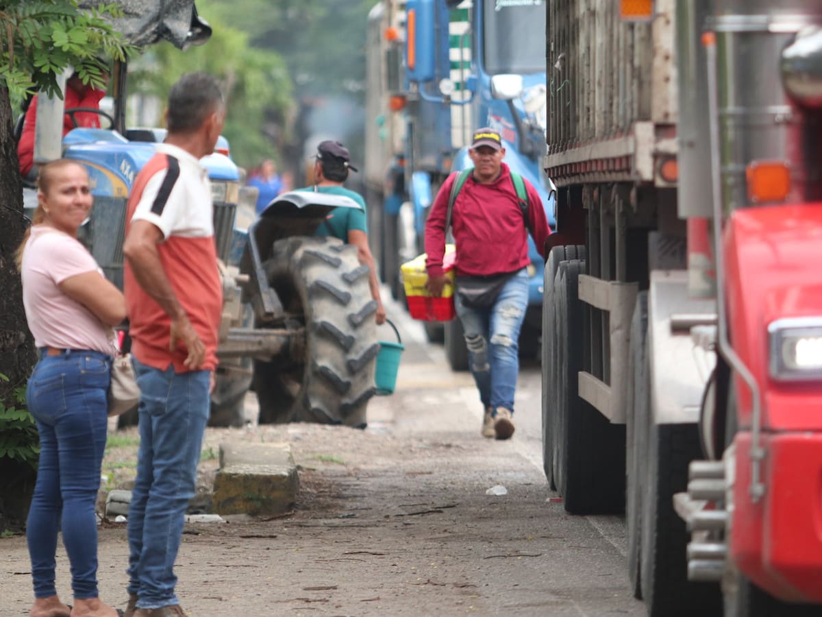 Fedetranscarga asegura que camioneros pierden a diario $1.750 millones por el paro arrocero