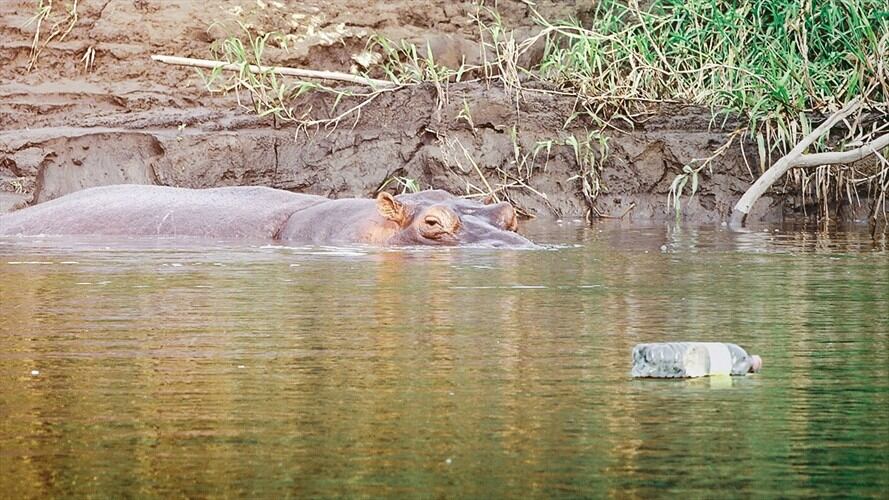 El periodista Pirry realizó un experimento para ver cuál es el recorrido de una botella de plástico hasta el océano.. Foto: Cortesía