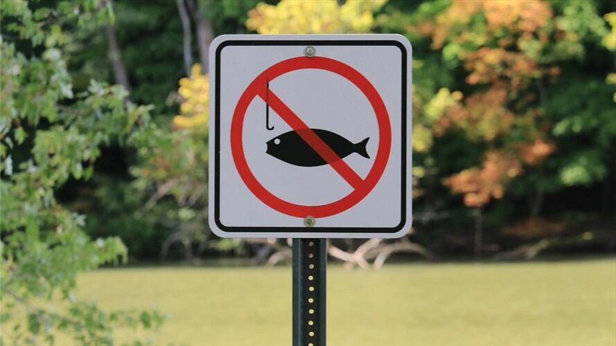 La ministra María Ximena Lombana hizo un llamado a que antes de diciembre concluyan las negociaciones que permitan prohibir subsidios a pesca marina ilegal. Foto: Getty Images / DOUGLAS SACHA