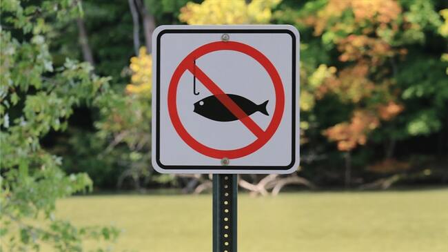 La ministra María Ximena Lombana hizo un llamado a que antes de diciembre concluyan las negociaciones que permitan prohibir subsidios a pesca marina ilegal. Foto: Getty Images / DOUGLAS SACHA
