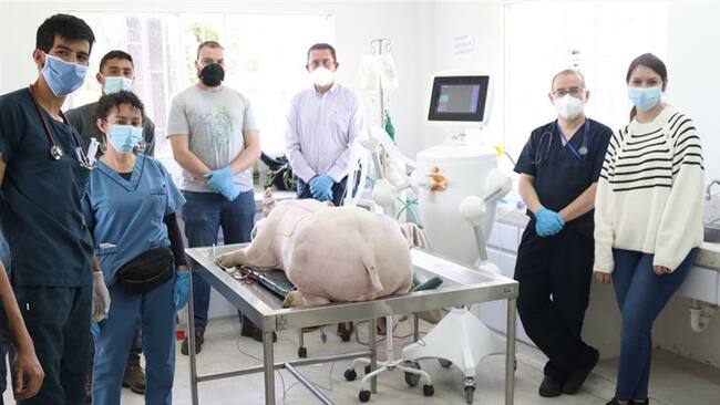 Investigadores luego de la prueba. Foto: Cortesía UPTC