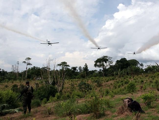 La Universidad Sergio Arboleda sacó un informe sobre el glifosato. Foto: Colprensa