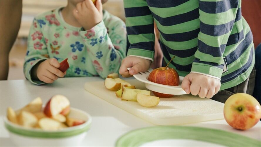 Sigue la revisión del Programa de Alimentación Escolar en diferentes regiones del país por parte de la Contraloría General de la República. Foto: Getty Images / WESTEND61