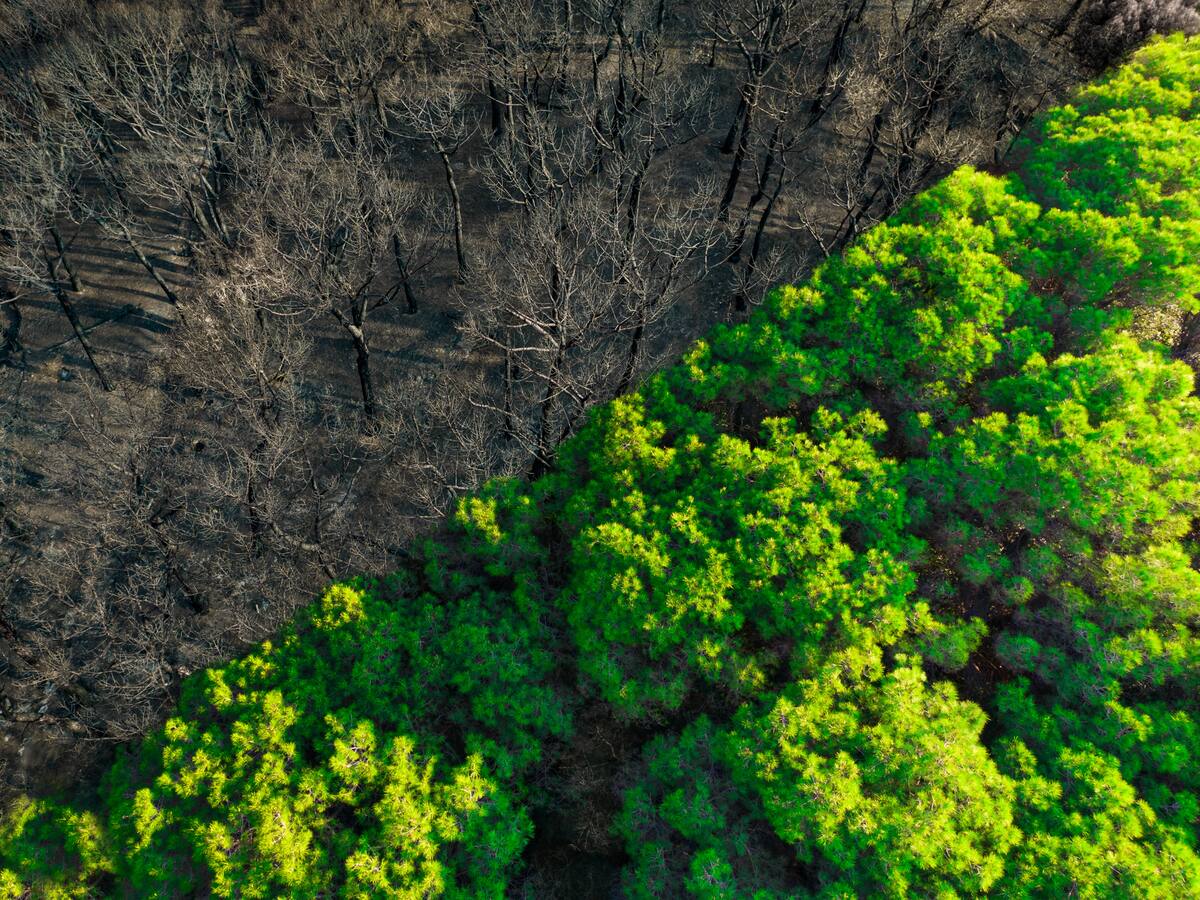 ‘Elemental’: los podcasts que abordan las problemáticas que afectan al planeta