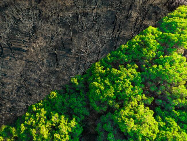 ‘Elemental’: los podcasts que abordan las problemáticas que afectan al planeta