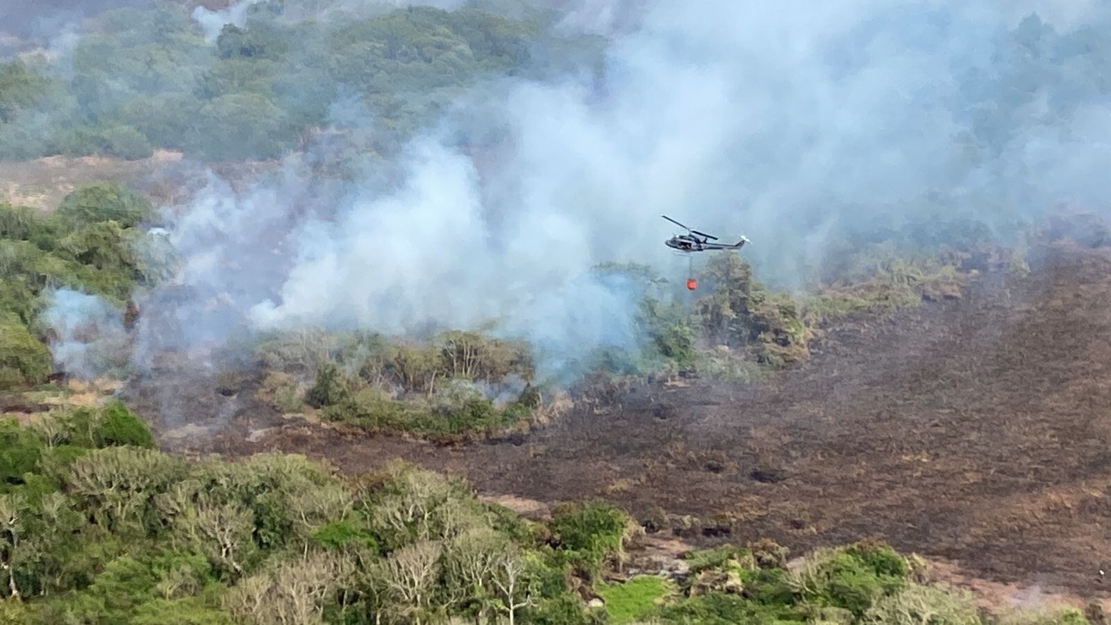 Atención de incendio Parque Isla Salamanca. Foto: Gobernación del Magdalena