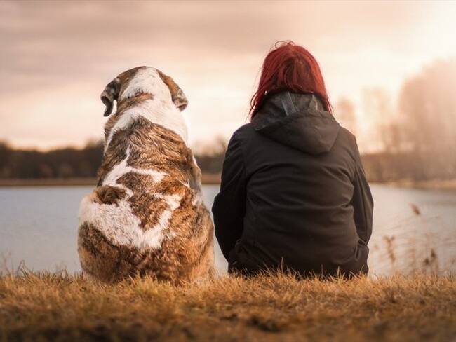 Estos son los pilares para equilibrar la relación con su mascota