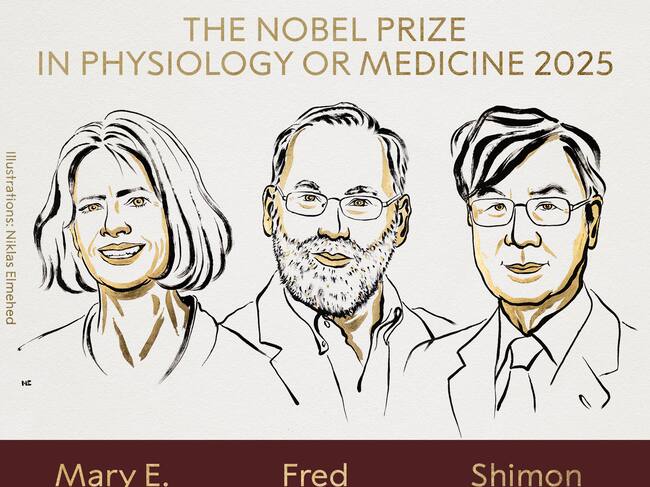 Mary Brunkow, Fred Ramsdell y Shimon Sakaguchi ganaron conjuntamente el Premio Nobel de Medicina por sus descubrimientos sobre la tolerancia inmunitaria periférica. Foto tomada del perfil de X @NobelPrize