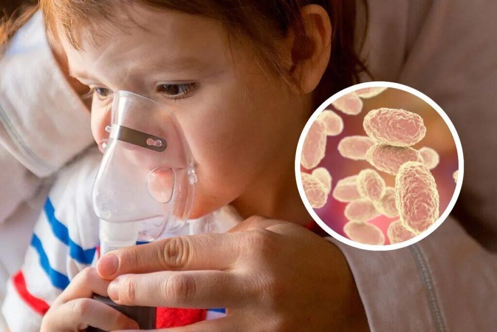 Se promueve la estrategia Capullo, que consiste en vacunar a quienes están en contacto con recién nacidos para evitar la transmisión de la bacteria. Foto: Dirección Territorial de Salud de Caldas.