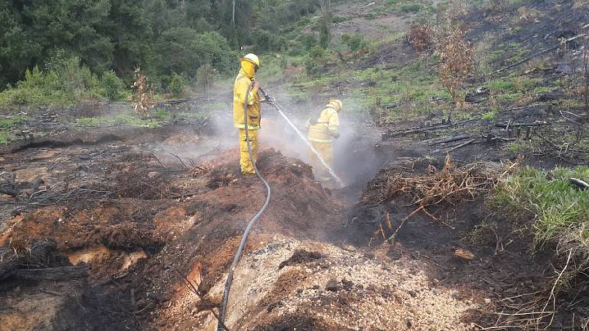 Aumenta la alerta por incendios forestales: 747 municipios en riesgo