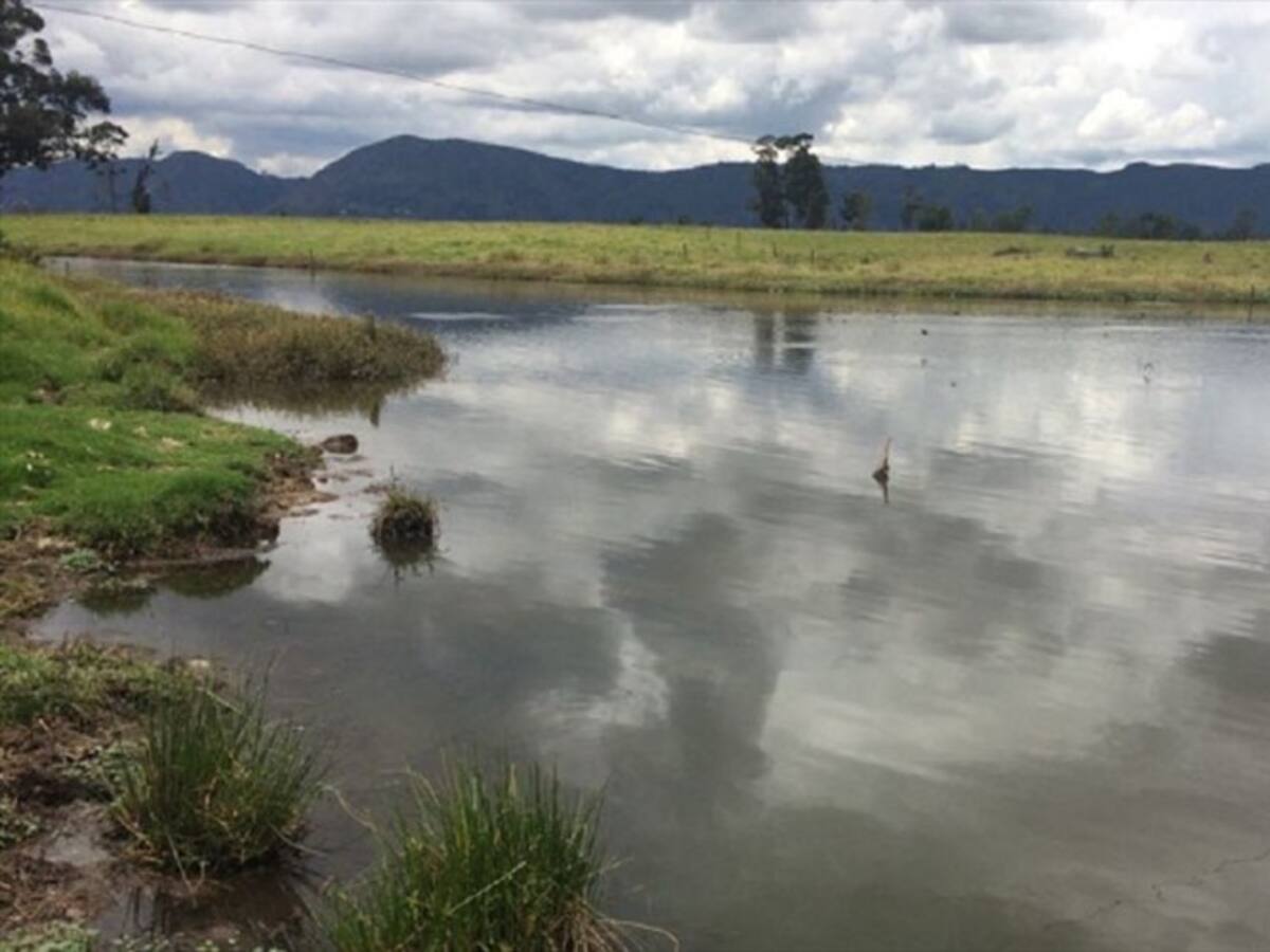 En 120 días hábiles habrá una decisión frente a la reserva Van der Hammen: Néstor Franco