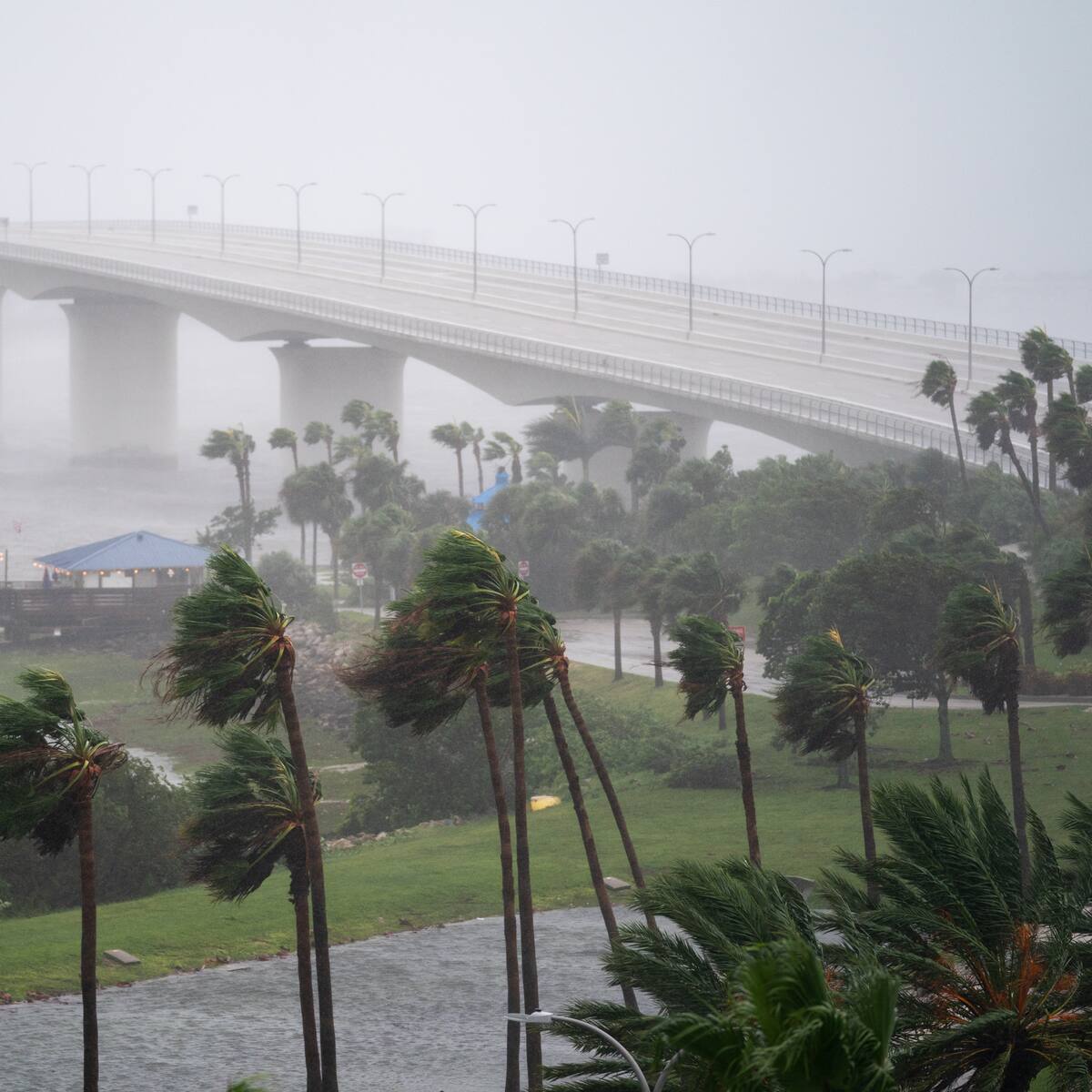 Huracán Ian: estas son las líneas de ayuda y protocolos de atención para colombianos