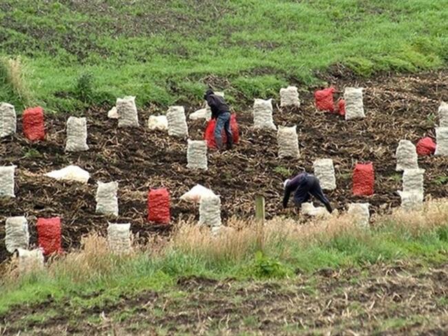 Las movilizaciones se realizará en Socará, Tunja, Duitama, Sogamoso, Puerto Boyacá y Chiquinquirá. . Foto: Colprensa