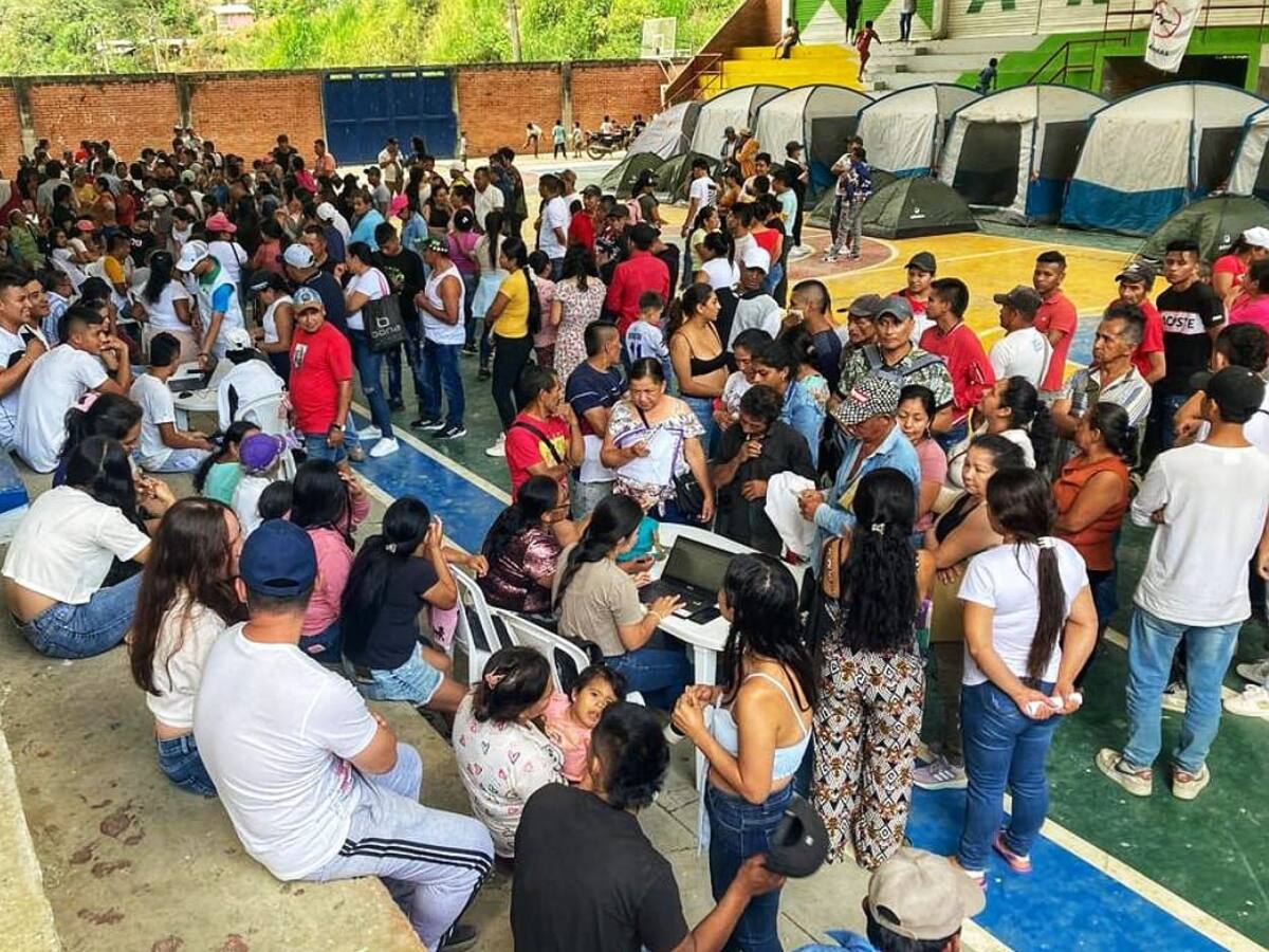 Más de 800 desplazados por combates entre disidencias de las Farc en Argelia, Cauca