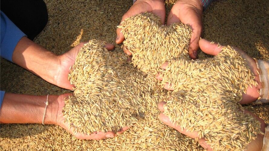 Imagen de referencia. Foto: Colprensa