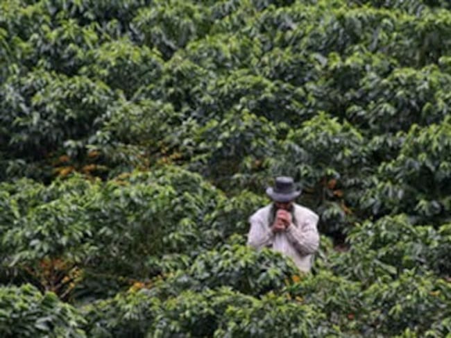 Foto: El Tiempo.
