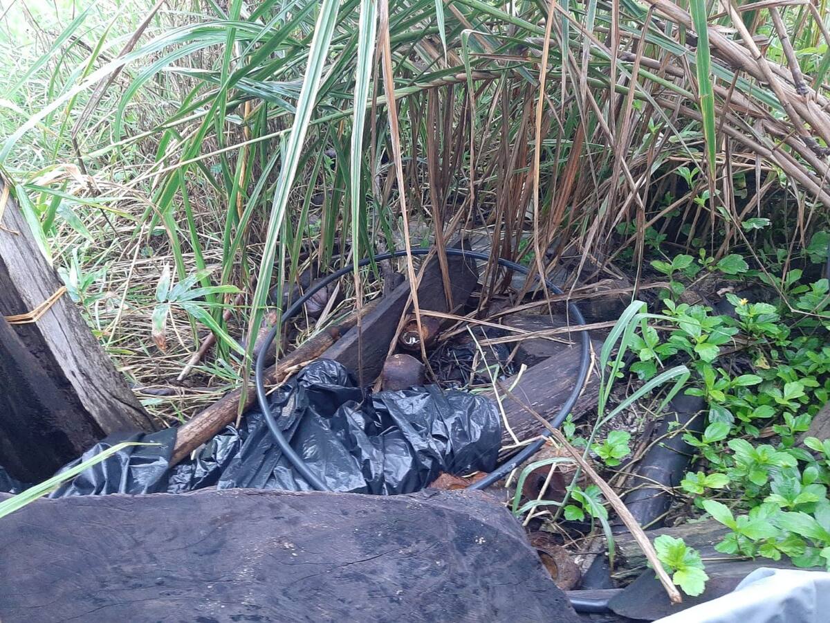 Parque Tayrona: invasión pone en peligro la biodiversidad en Mendihuaca