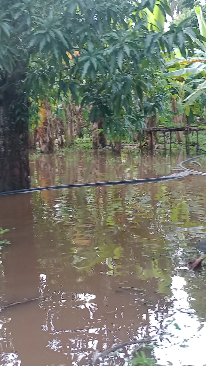 Afectaciones en sector de la María, zona rural de Ciénaga, Magdalena/ Anuar María