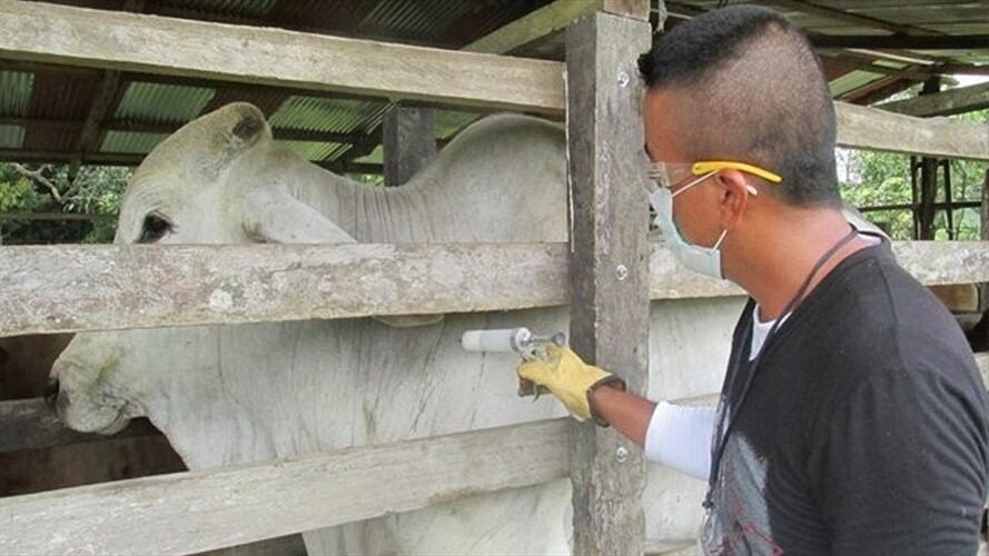 Imagen de referencia. Foto: Colprensa