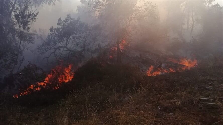 Fueron nueve los incendios que los organismos de socorro debieron controlar en las últimas horas. Foto: Ejército Nacional