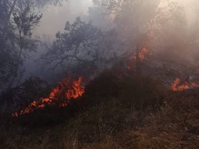 Fueron nueve los incendios que los organismos de socorro debieron controlar en las últimas horas. Foto: Ejército Nacional
