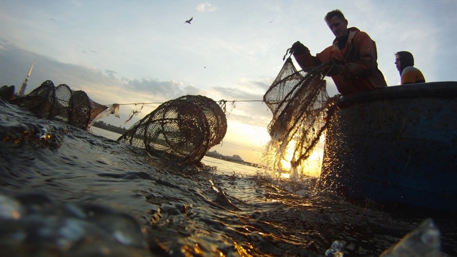 Dirección Ejecutiva de la Federación Colombiana de Acuicultores rechazó la propuesta del Gobierno Nacional. Foto: Getty Images