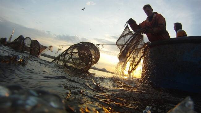 Dirección Ejecutiva de la Federación Colombiana de Acuicultores rechazó la propuesta del Gobierno Nacional. Foto: Getty Images