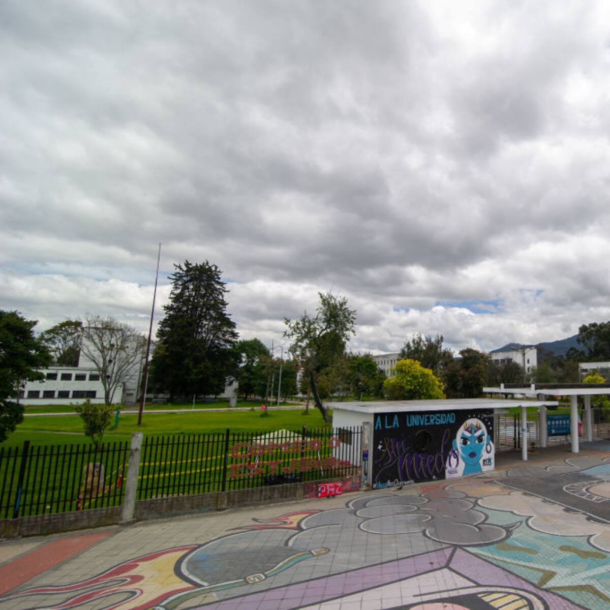 ¿Quién tiene la última palabra en la elección del rector de la Universidad Nacional?