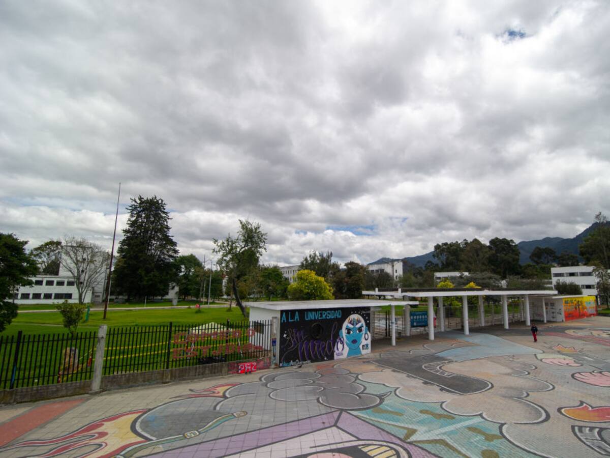 Nos están obligando a cometer prevaricato: profesor de U. Nacional por elección de rector