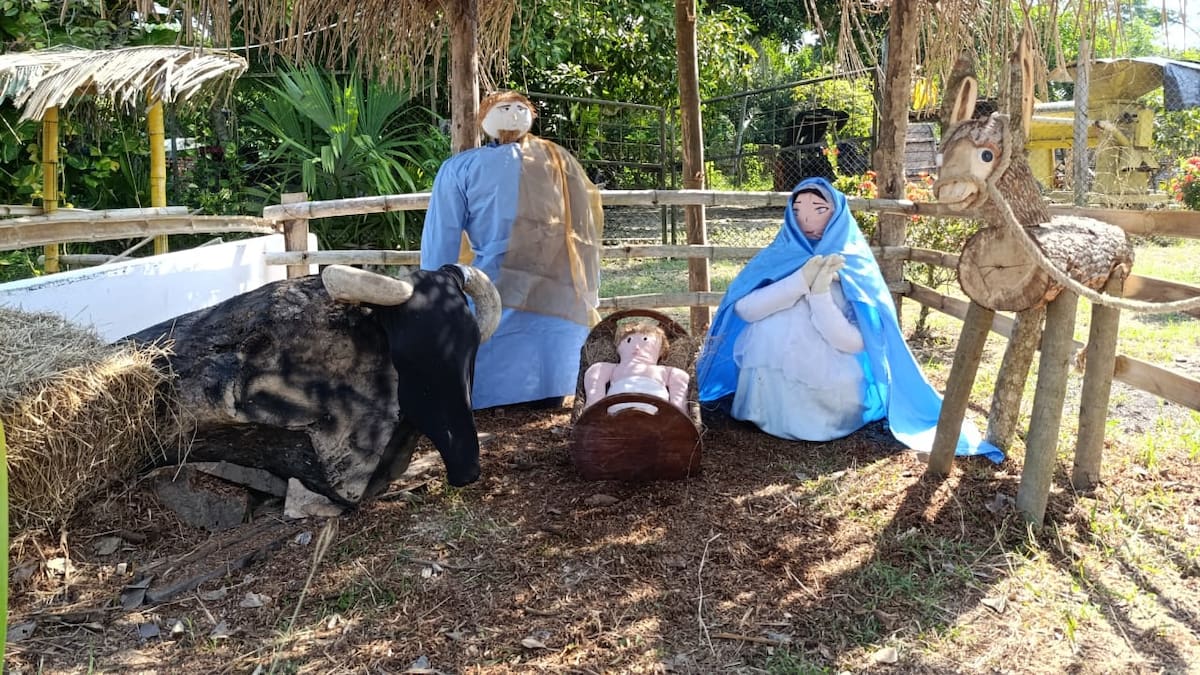 Así fue el pesebre campesino que se instaló en zona rural de San Pelayo, Córdoba