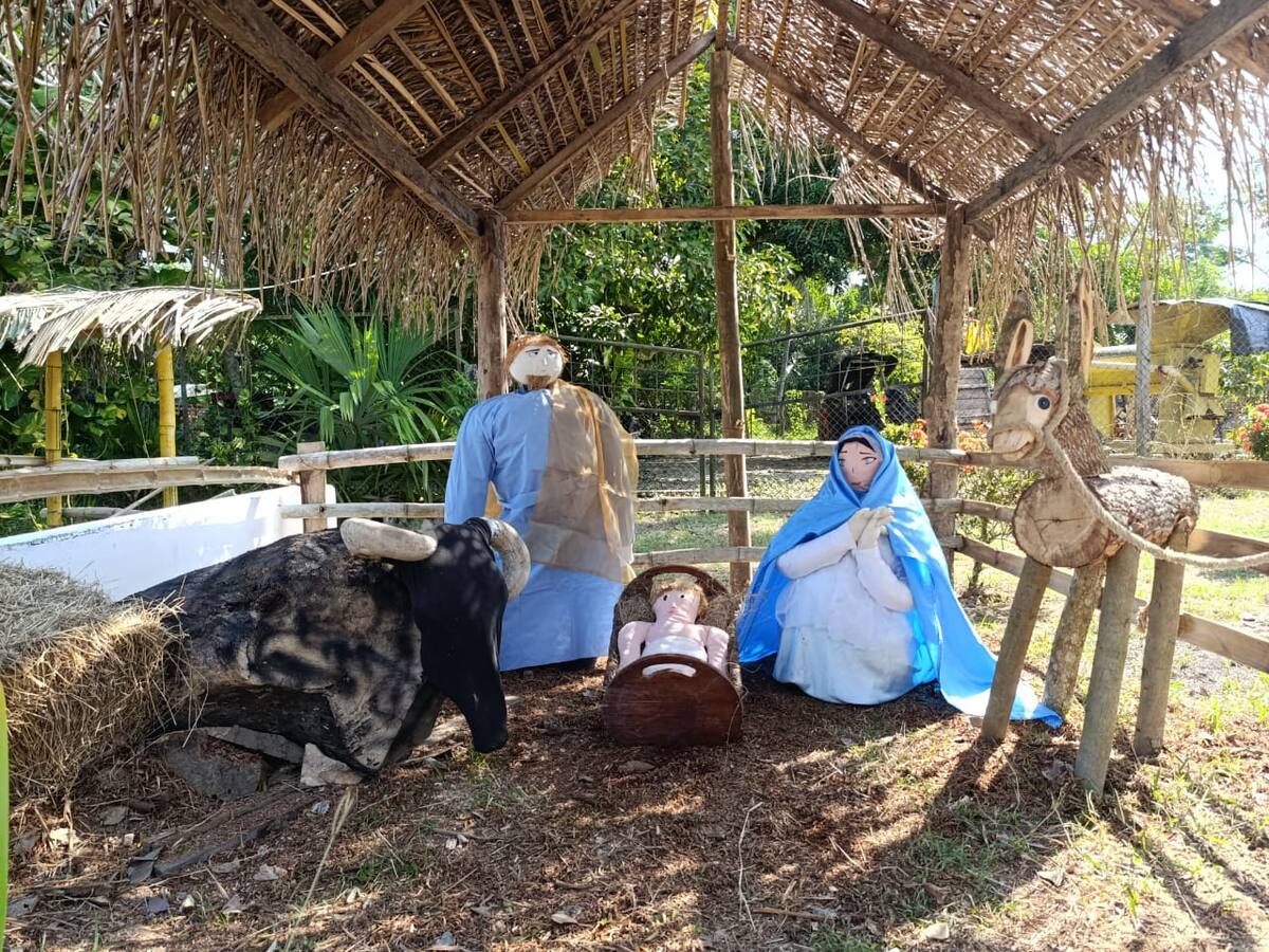 Así fue el pesebre campesino que se instaló en zona rural de San Pelayo, Córdoba