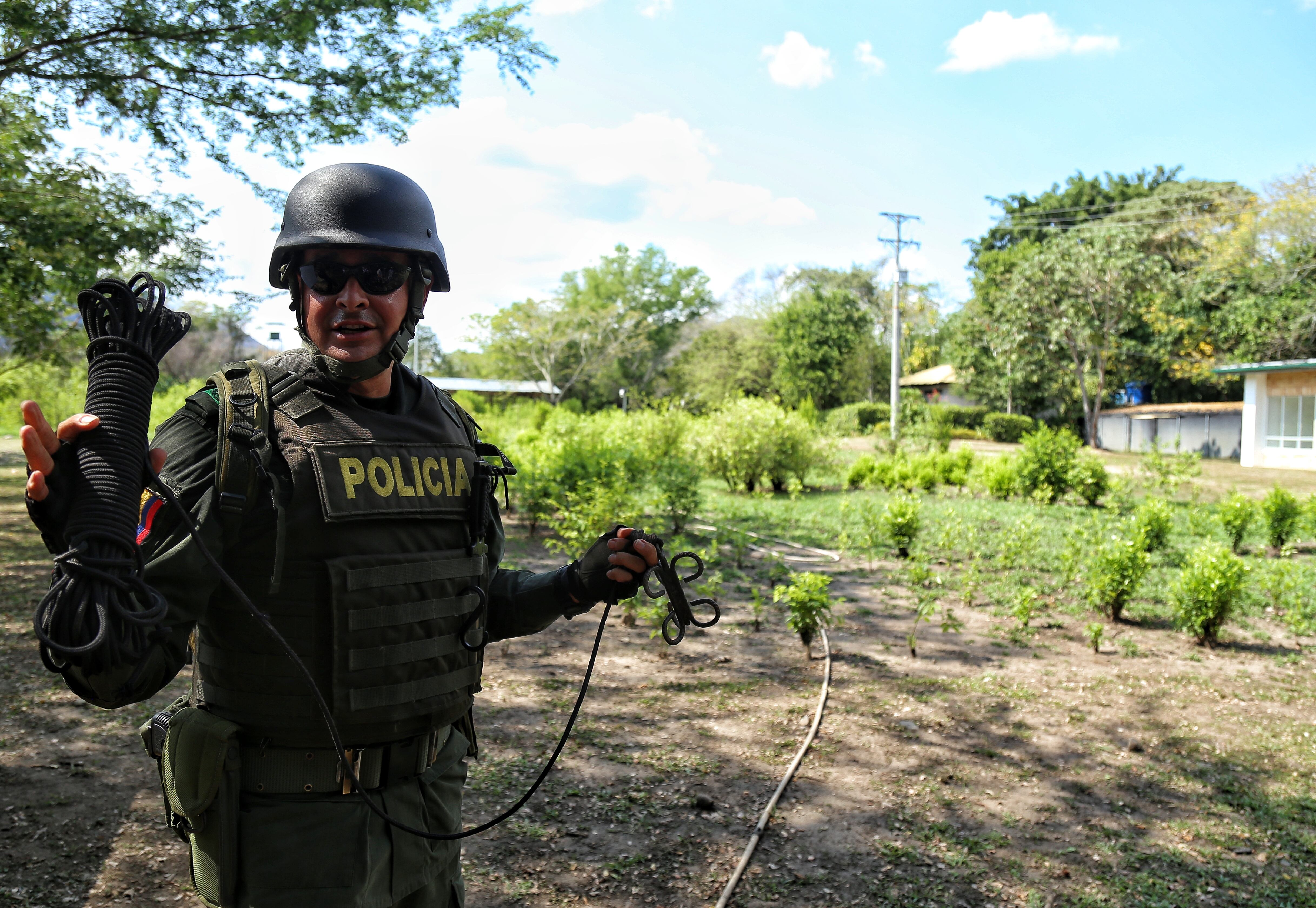 Labores de erradicación de cultivos ilícitos en el país por parte de la Policía Nacional. Foto: (Colprensa - Camila Díaz)
