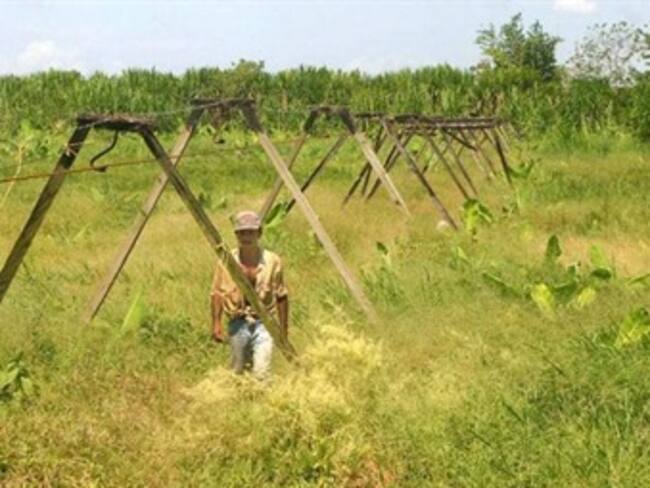 Foto: Colprensa / Vanguardia Liberal.
