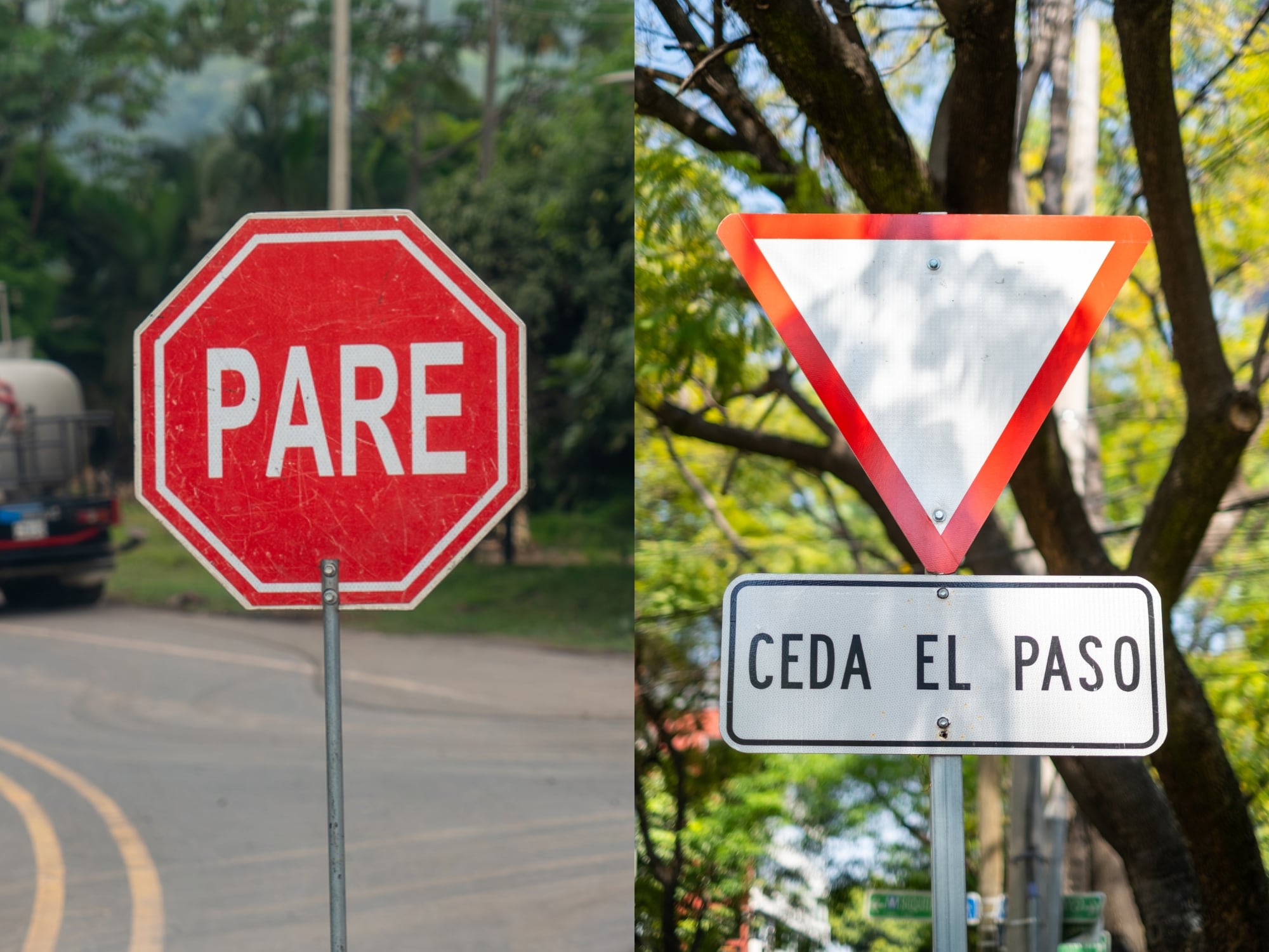 Diferencias de las señales de tránsito ‘pare’ y ‘ceda el paso’. Fotos: Getty Images.