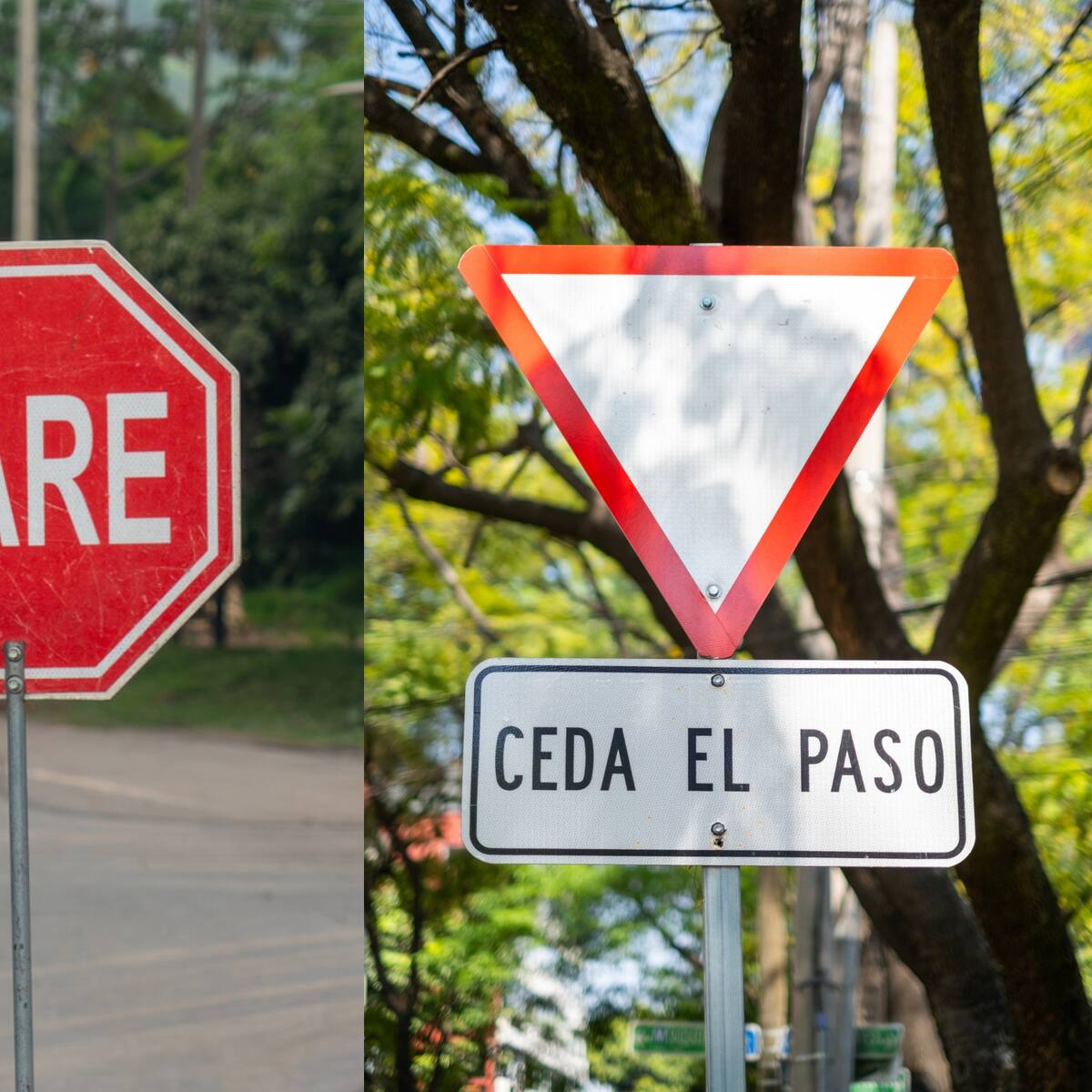 Diferencias de las señales de tránsito ‘pare’ y ‘ceda el paso’: multa por infringir la norma