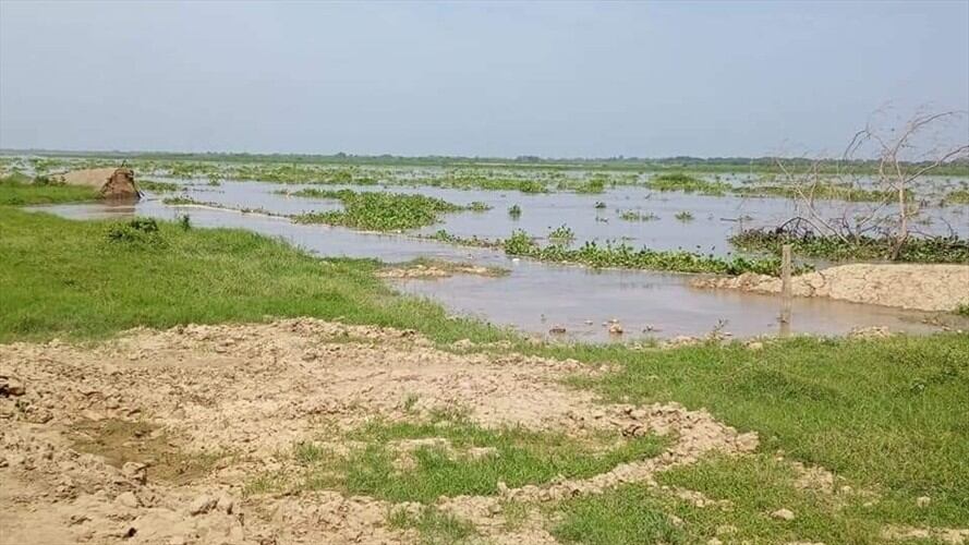 La erosión fluvial tiene comprometidos a cerca de 900 metros lineales de dique. Foto: Saritza Orozco F
