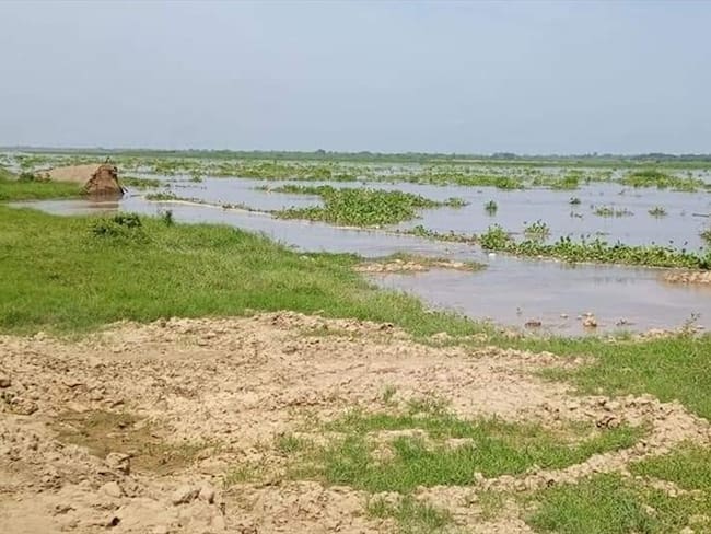 La erosión fluvial tiene comprometidos a cerca de 900 metros lineales de dique. Foto: Saritza Orozco F