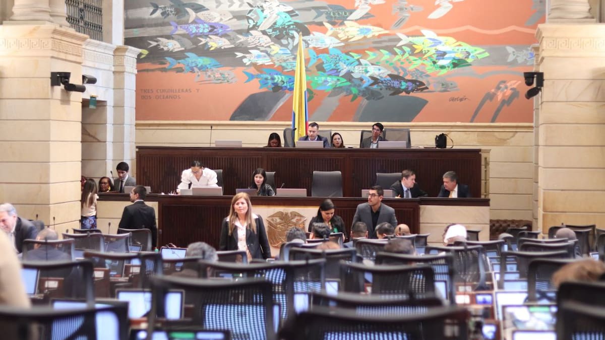 Reforma a la salud: oficina de Congreso advierte que debió tramitarse como ley estatutaria
