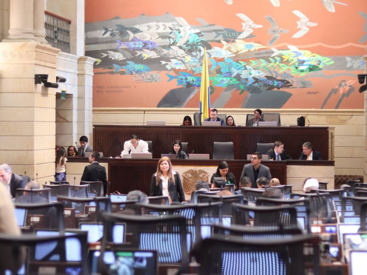 Cámara negó aplazar el debate de la reforma a la salud para 2025