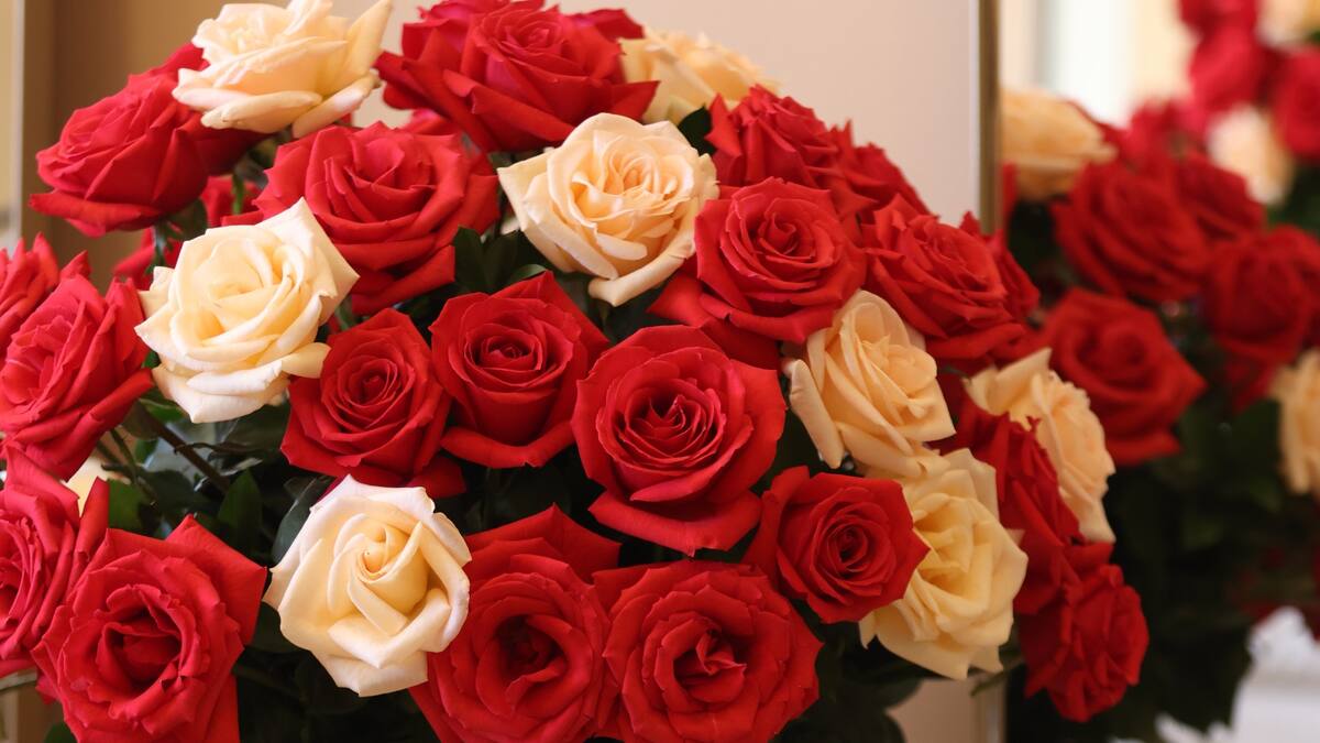 Don Eloy se inspira en las plantas afrodisíacas para San Valentín