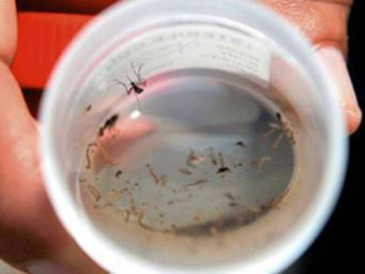 Cierran unidad de Clínica en el Atlántico por menor que falleció por dengue