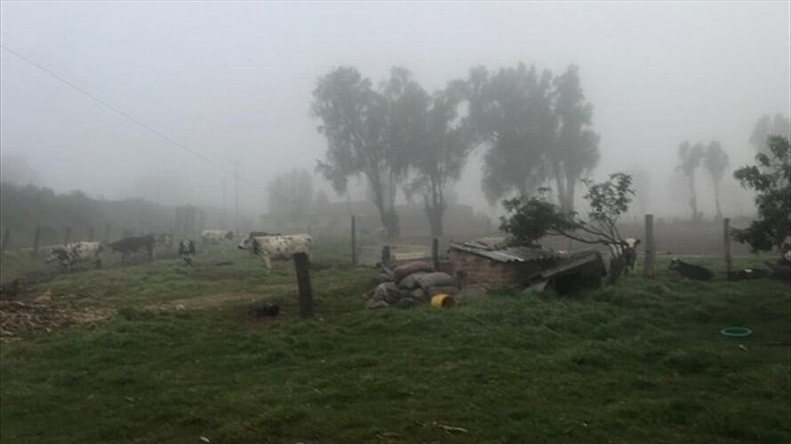 El gobierno departamental destacó la disminución de la temporada de heladas en el centro de Boyacá.  . Foto: W