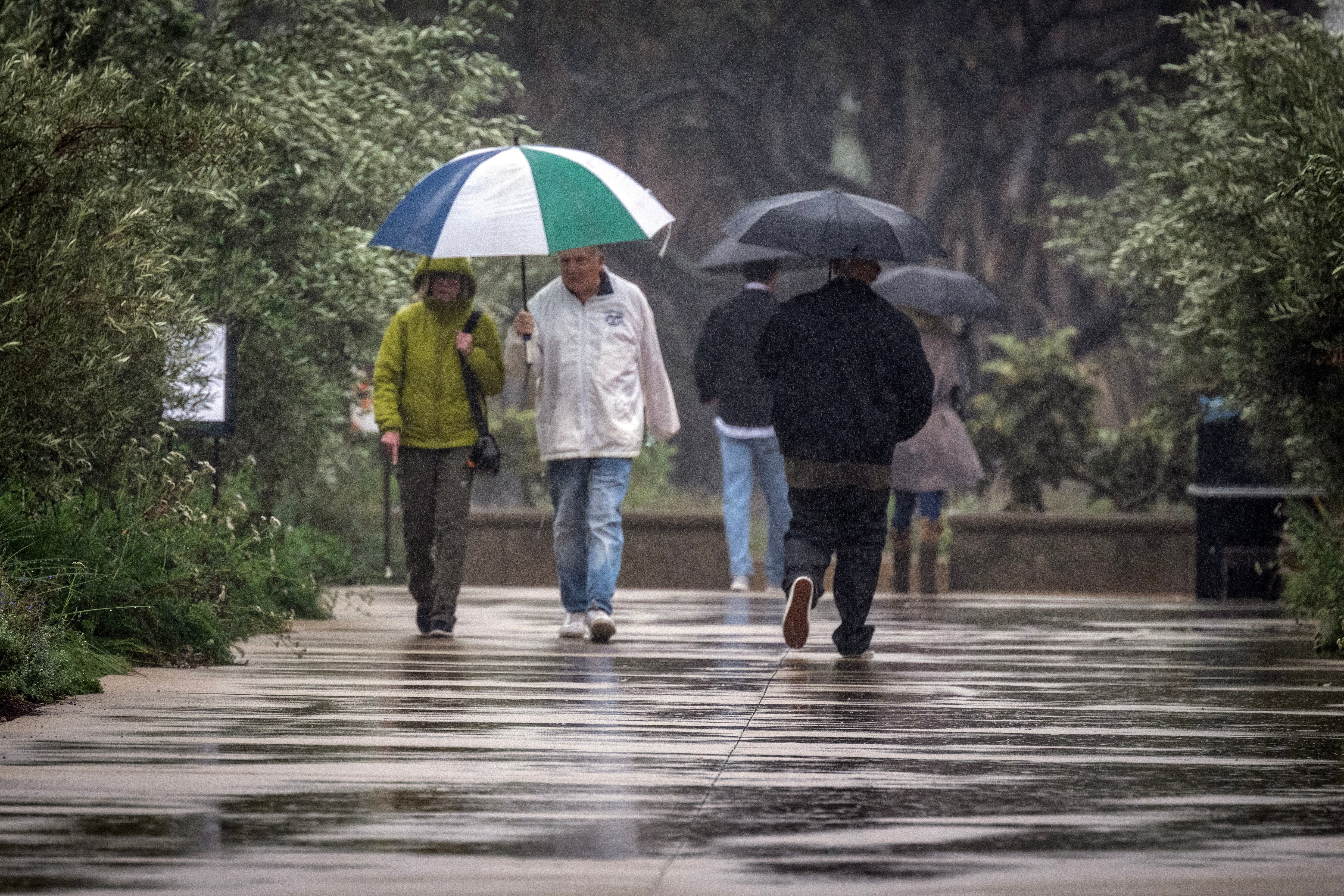 Población de San Marino, California durante las lluvias el 14 de noviembre de 2025. FOTO: Hans Gutknecht/Getty Images